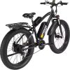 Bicicleta Elétrica PIONVER P50